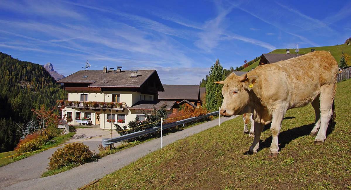 Luech Da Spescia La Valle Exterior foto